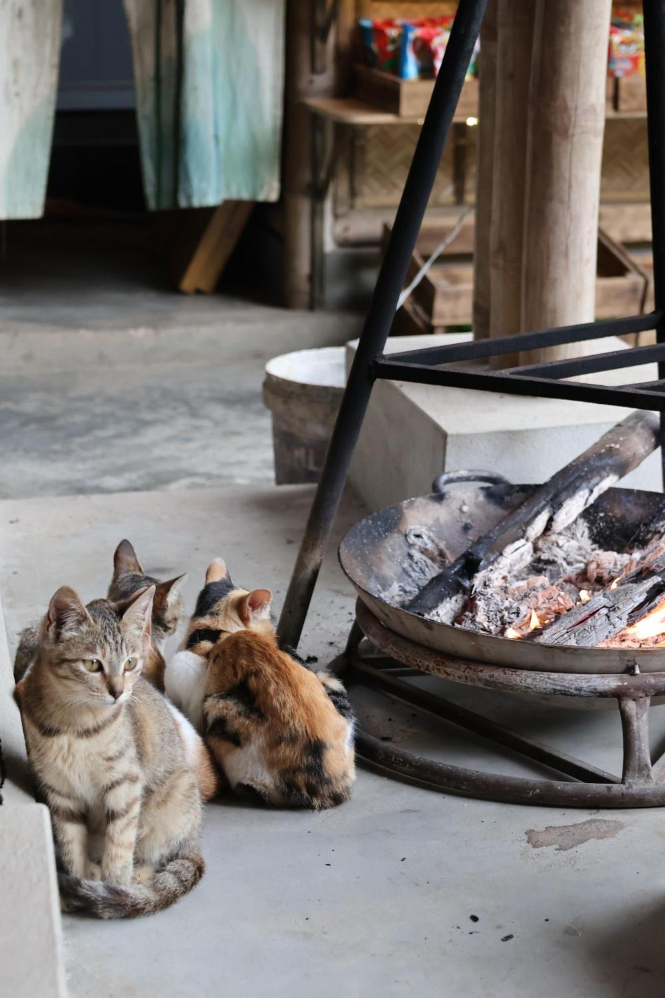 Dinh Gia Trang - Homestay & Coffee The Ruong Luaran gambar