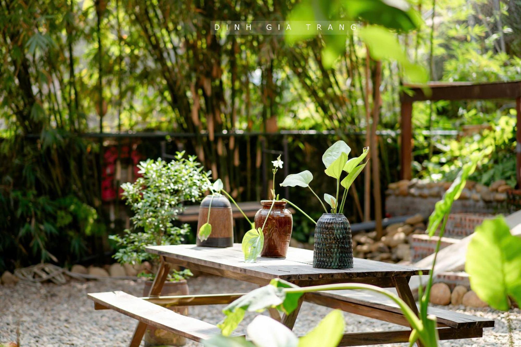 Dinh Gia Trang - Homestay & Coffee The Ruong Luaran gambar