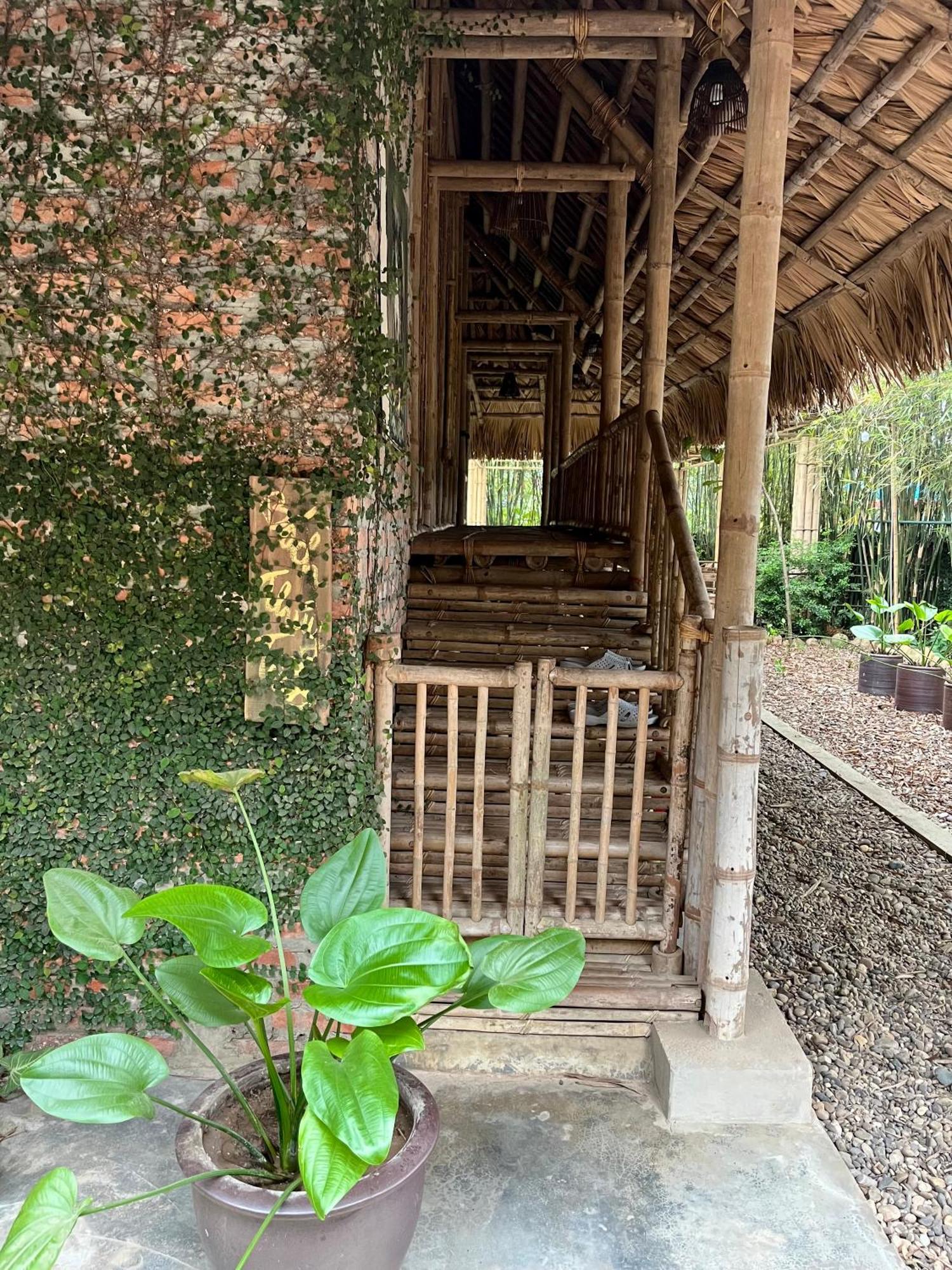 Dinh Gia Trang - Homestay & Coffee The Ruong Luaran gambar