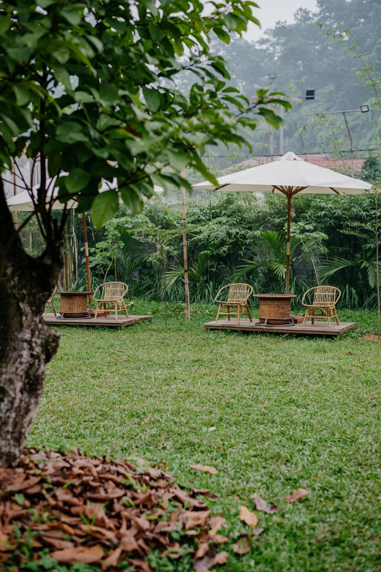 Dinh Gia Trang - Homestay & Coffee The Ruong Luaran gambar
